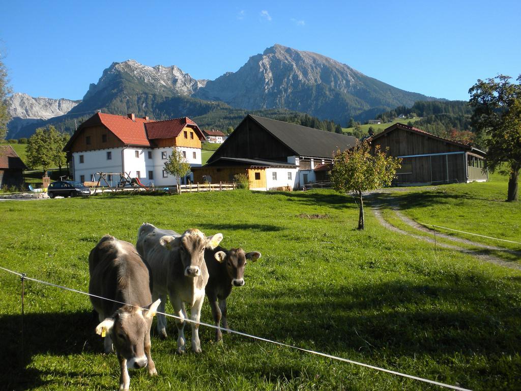 Bio-Urlaubshof Dansbach Villa Spital Am Pyhrn Bagian luar foto