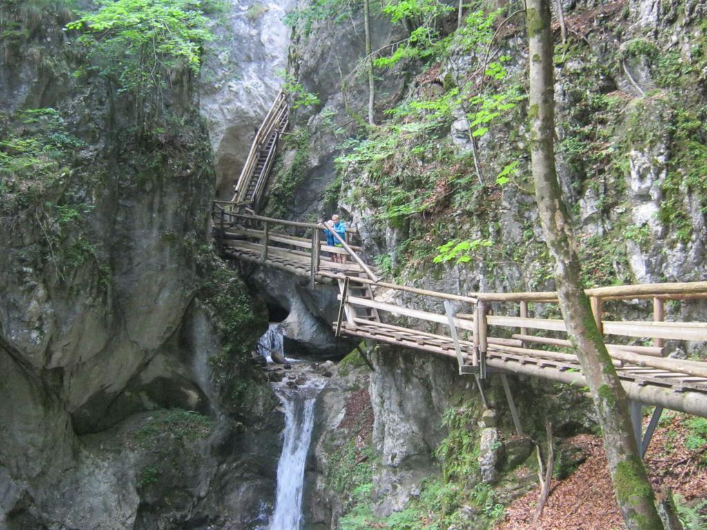 Bio-Urlaubshof Dansbach Villa Spital Am Pyhrn Bagian luar foto